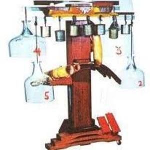 Meet your Posher, Gary